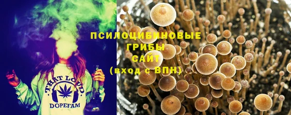 тгк Аркадак